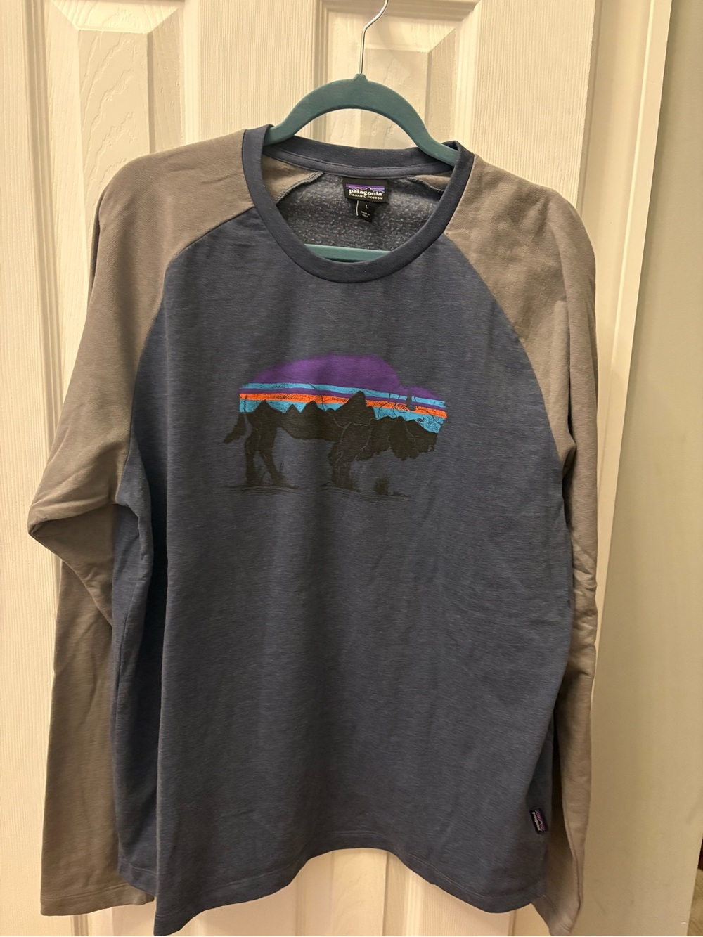 Patagonia Blue Body Gray Raglan Long-Sleeve Graphic Tee